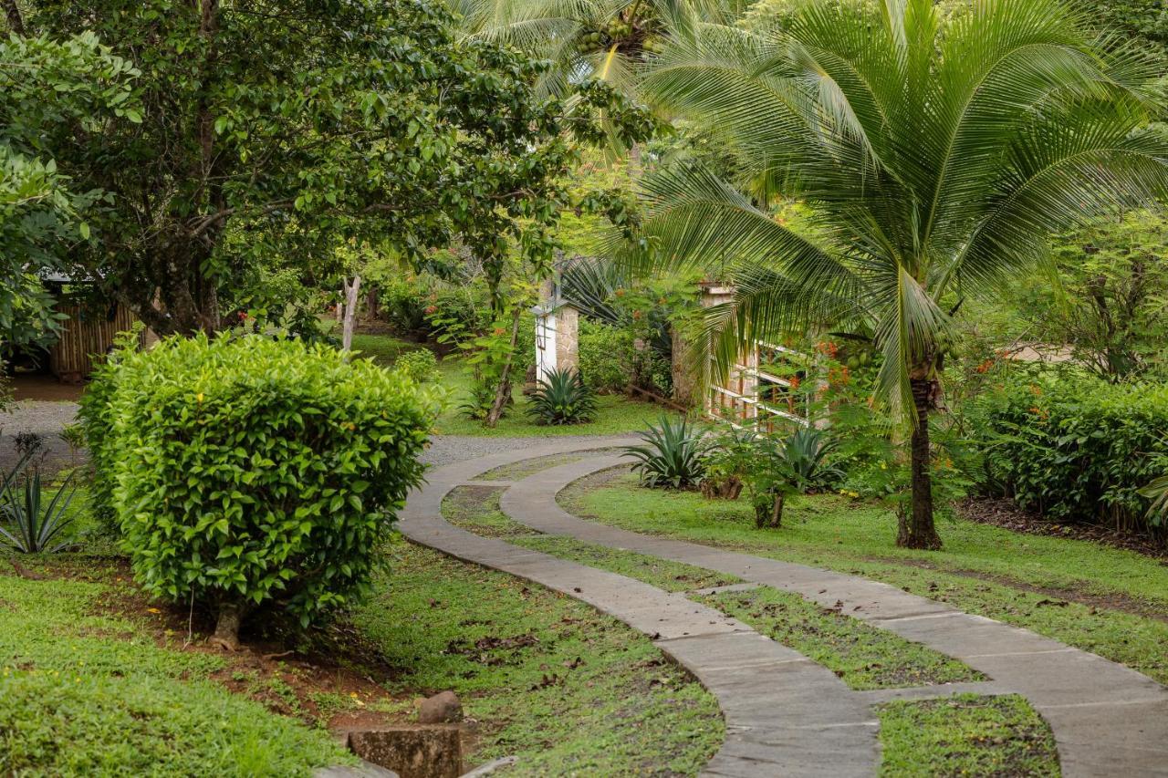 Salvatierra Beachfront Hotel Puerto Coyote Ngoại thất bức ảnh