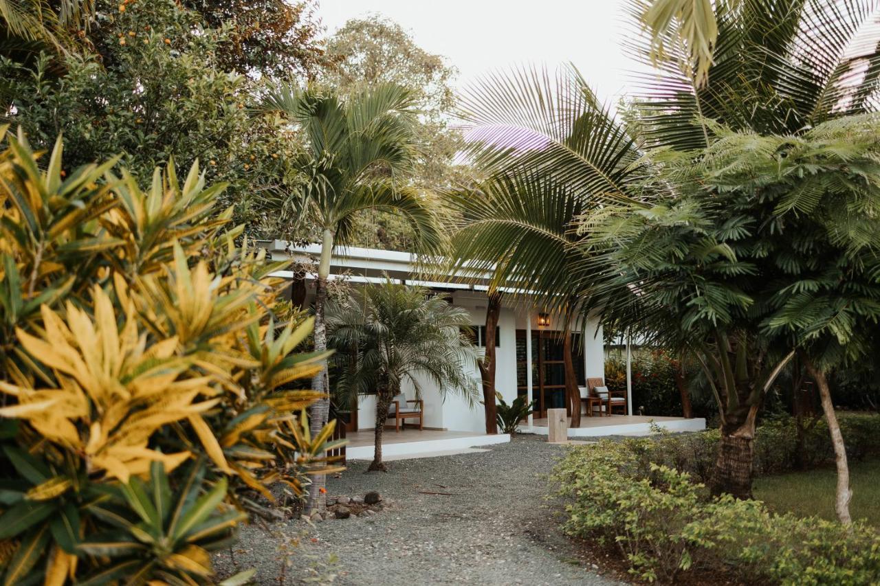 Salvatierra Beachfront Hotel Puerto Coyote Ngoại thất bức ảnh